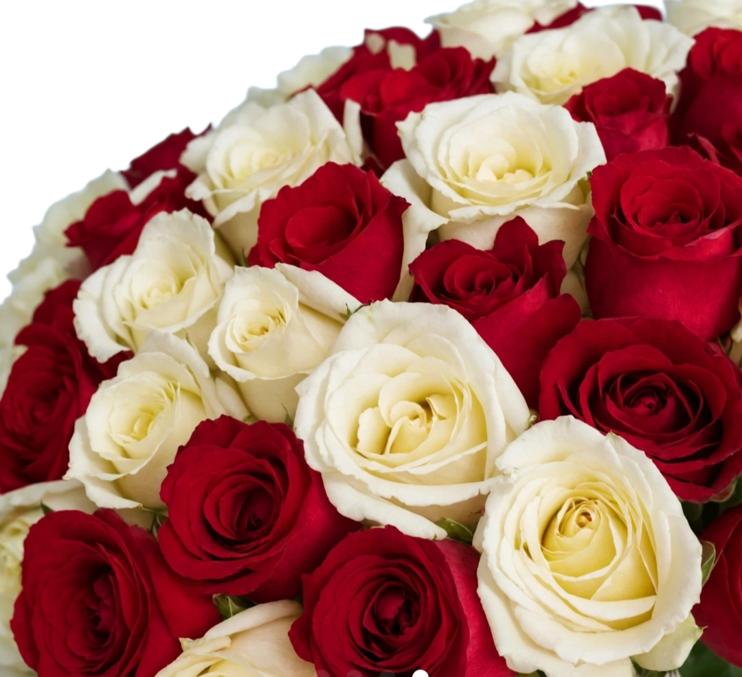 Red & White Luster
