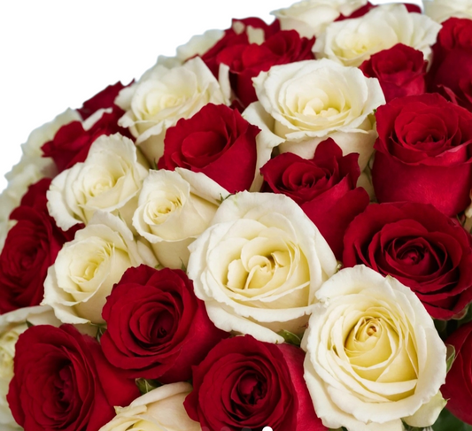 Red & White Luster